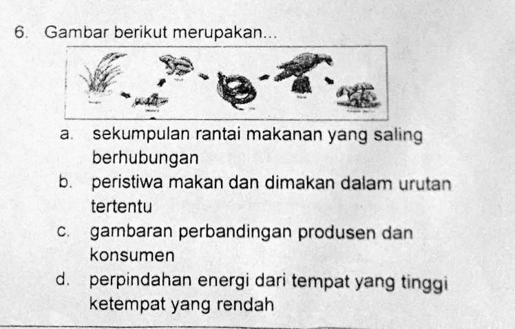 SOLVED: Jawab Dengan Benar Yaa Jangan Asal Jawab! 6 Gambar Berikut ...