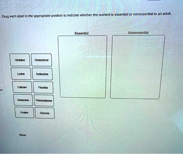 Text Drag each label to the appropriate position to indicate whether