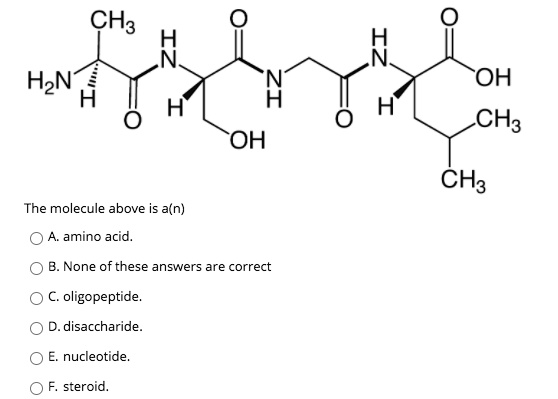 SOLVED: CHa HzNH OH CH3 H OH The molecule above is a(n) A. amino acid ...