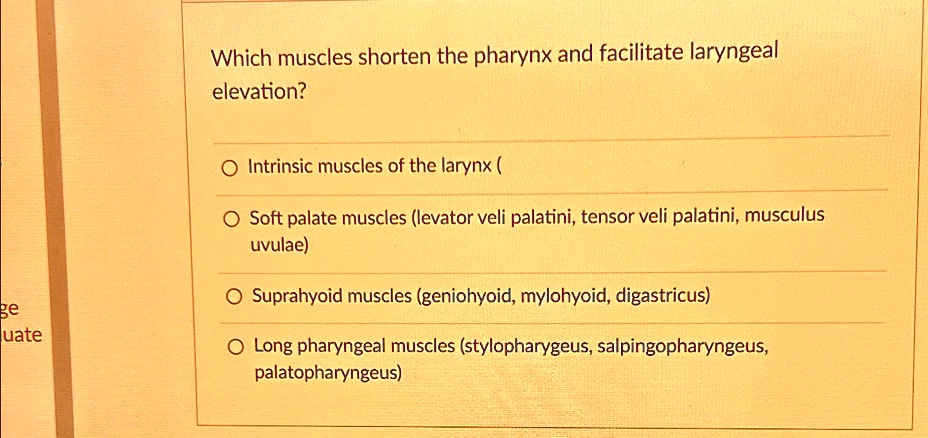 SOLVED: Which muscles shorten the pharynx and facilitate laryngeal ...