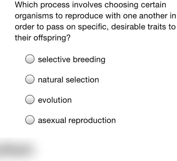 Which process involves choosing certain
organisms to reproduce with one another in
order to pass on specific, desirable traits to
their offspring?
selective breeding
natural selection
evolution
asexual reproduction