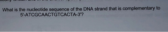 What is the nucleotide sequence of the DNA strand that is complementary to 5'-ATCGCAACTGTCACTA-3'?