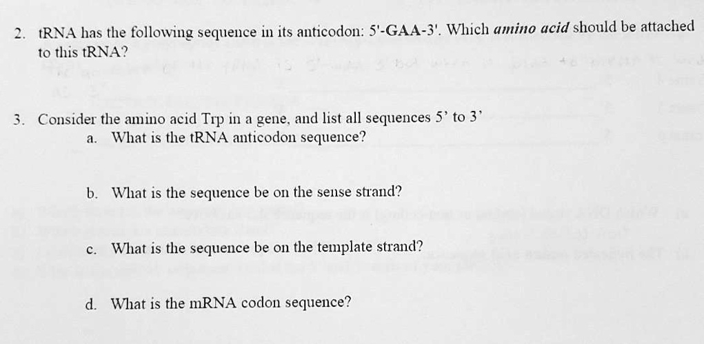 SOLVED:IRNA has the following sequence in its anticodon: 5'-GAA-3 ...