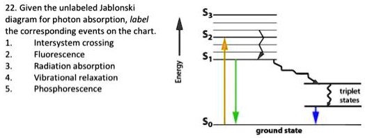 Solved Given The Unlabeled Jablonski Diagram For Photon Absorption Label The Corresponding Events On The Chart Intersystem Crossing Fluorescence Radiation Bsorption Vibrational Relaxation Phosphorescence Triplet Hel Ground State