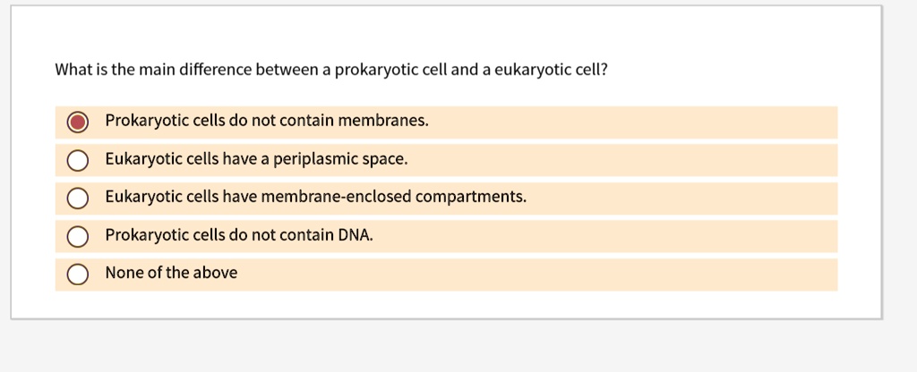 SOLVED: What is the main difference between a prokaryotic cell and a ...