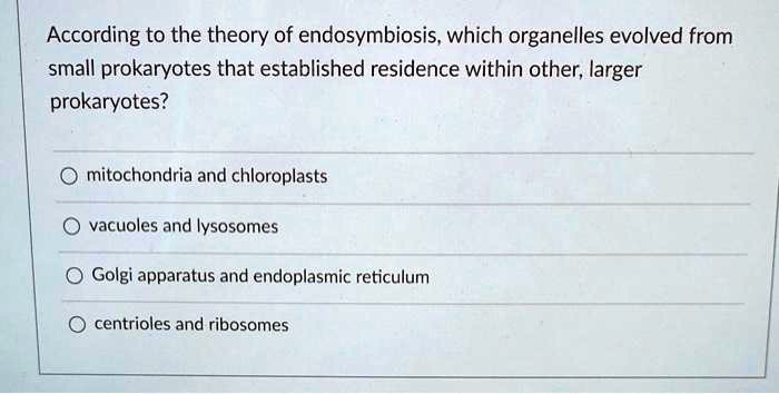 According to the theory of endosymbiosis, which organelles evolved from small prokaryotes that established residence within other, larger prokaryotes?
mitochondria and chloroplasts
vacuoles and lysosomes
Golgi apparatus and endoplasmic reticulum
centrioles and ribosomes