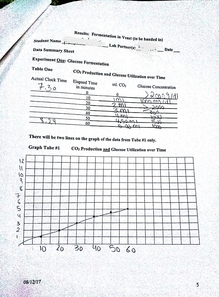 SOLVED Results; Fermentation in Yeast (to be handed in) Student Name
