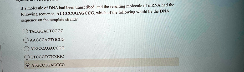 If a molecule of DNA had been transcribed, and the resulting molecule of mRNA had the following sequence, AUGCCUGAGCCG, which of the following would be the DNA sequence on the template strand?
TACGGACTCGGC
AAGCCAGTGCCG
ATGCCAGACCGG
TTCGGTCTCGGC
ATGCCTGAGCCG