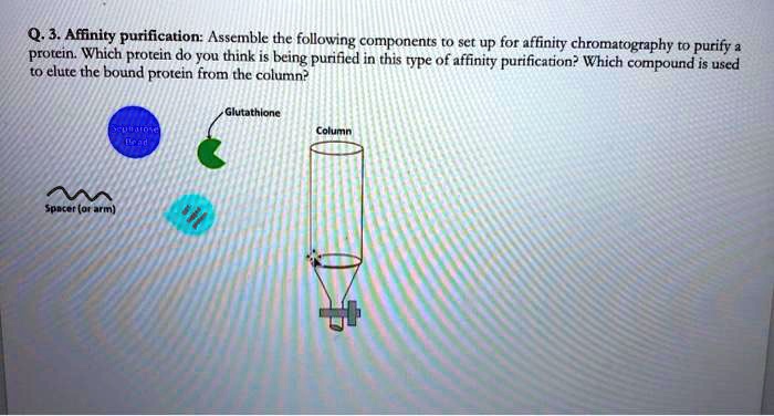 03 afinity purification asscmble the following components...