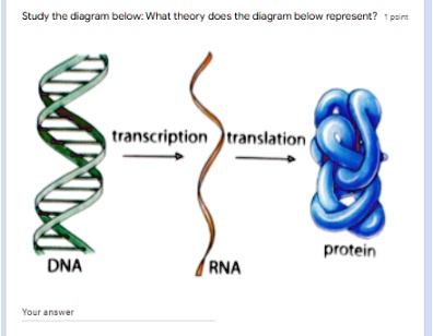 SOLVED: Study the diagram below: What theory does the diagram below ...