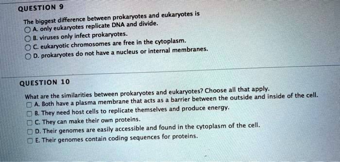 SOLVED: QuesTION 9 difference between prokaryvotes and eukaryotes The ...