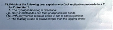 which of the following best explains why dha replication procesds in 55 to 3 direction a the hydrogen bonding is directional only b nucleotides can form phosphodiester bonds c dna polymerase 26802