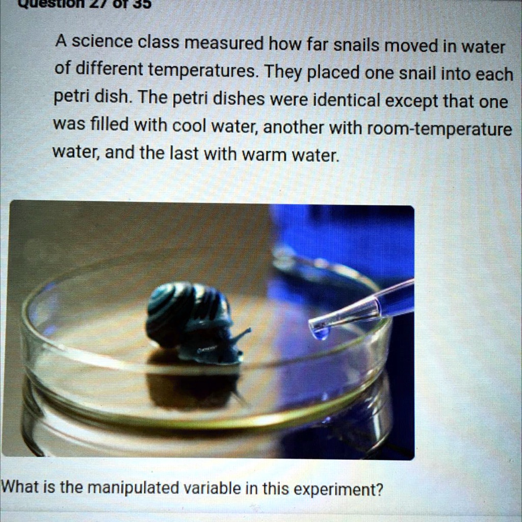 SOLVED What is the manipulated variable in this experiment? A. The