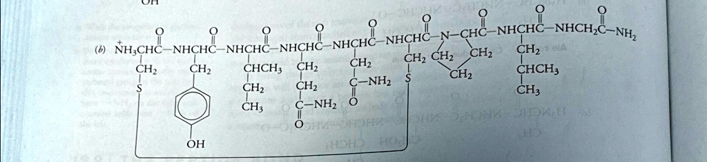 What is the net charge on the oligopeptide at a) pH 1 b) pH 14 UH 0 CHC ...