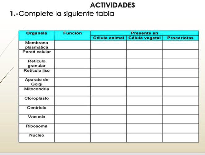 Solved Ayuda Doy Corana Porfa Para Las Actividades Complete La