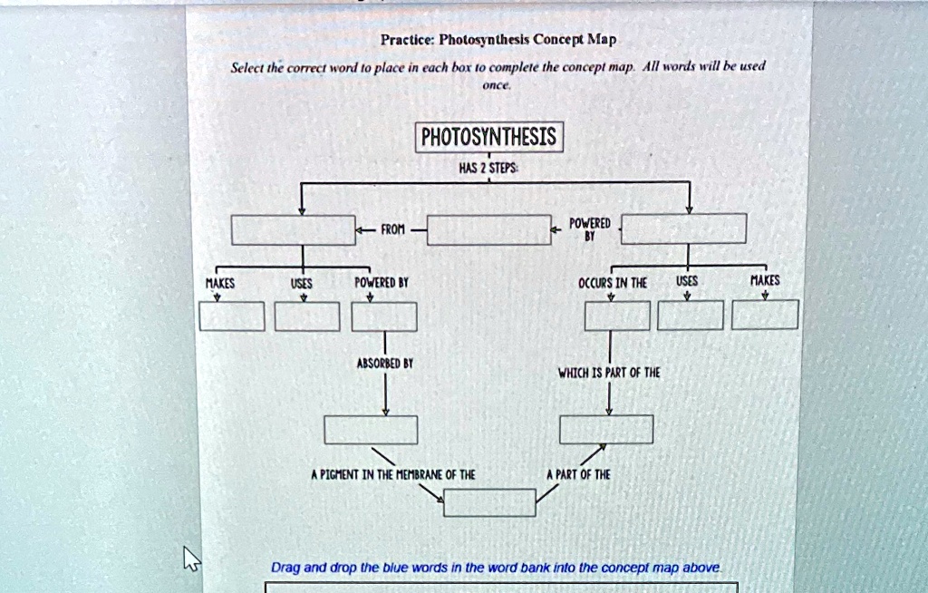 Practice: Photosynthesis Concept Map Select the correct word...