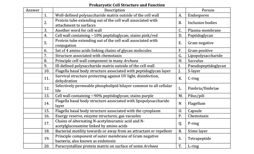 solved-prokaryotic-cell-structure-and-function-answer-description-well