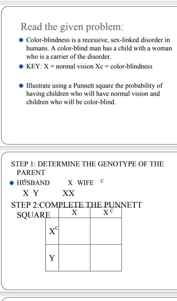 Color Blindness Punnett Square