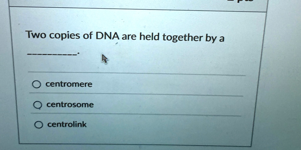 two copies of dna are held together by a centromere centrosome centrolink 60089