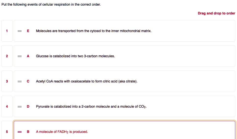 Put the following events of cellular respiration in the correct order.
E Molecules are transported from the cytosol to the inner mitochondrial matrix.
A Glucose is catabolized into two 3-carbon molecules.
C Acetyl CoA reacts with oxaloacetate to form citric acid (aka citrate).
D Pyruvate is catabolized into a 2-carbon molecule and a molecule of CO2.
B A molecule of FADH2 is produced.