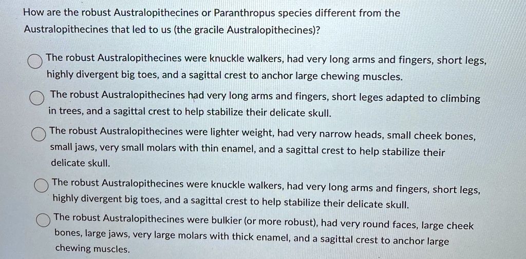 How are the robust Australopithecines or Paranthropus...