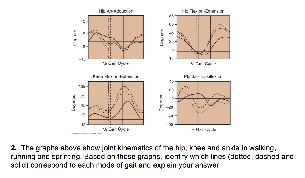 SOLVED Hip AbAdduction Hip FlexionExtension 85 15 65 45 Degrees 25 5