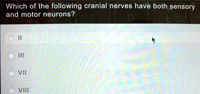 Which of the following cranial nerves have both sensory and motor neurons?
II
III
VII
VIII