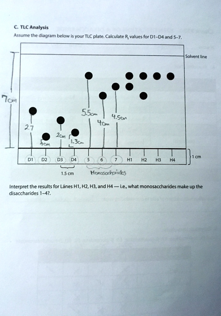 SOLVED TLC Analysis Assume the diagram below is your TLC plate