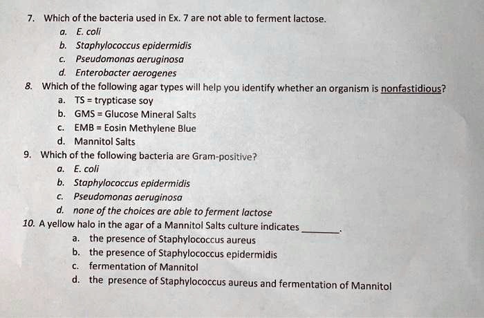 Which of the bacteria used in ex are not able to ferment...