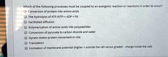 Which of the following processes must be coupled to an exergonic reaction or reactions in order to occur?
Conversion of protein into amino acids
The hydrolysis of ATP (ATP? ADP + Pi)
Facilitated diffusion
Polymerization of amino acids into polypeptides
Conversion of pyruvate to carbon dioxide and water
Dynein motor protein movement in cilia
Translation
Formation of membrane potential (higher + outside the cell versus greater - charge inside the cell)