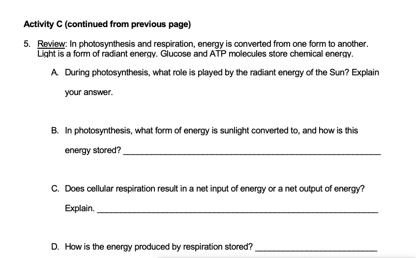 activity continued from previous page review in photosynthesis and 