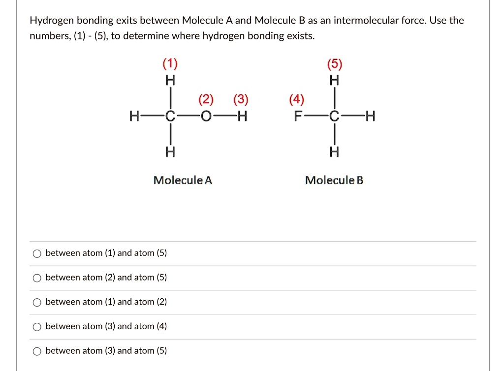 SOLVED: Hydrogen bonding exits between Molecule A and Molecule B as an ...