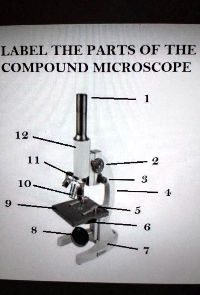 SOLVED: 'parts of the compound microscope LABEL THE PARTS OF THE ...