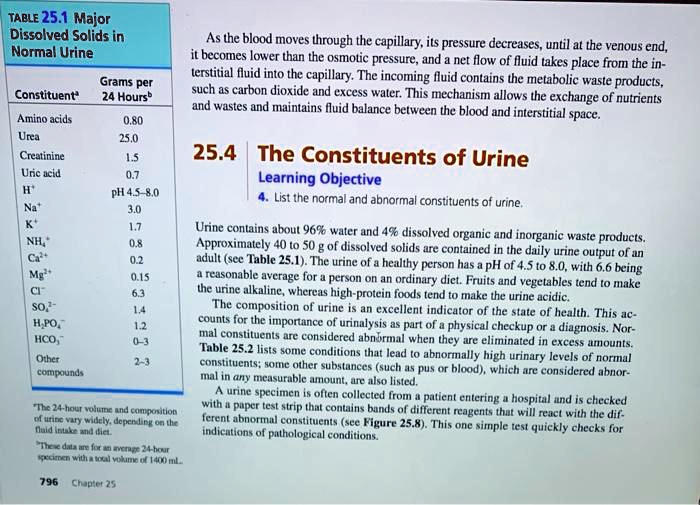 Normal Makeup Of Urine Makeup Vidalondon