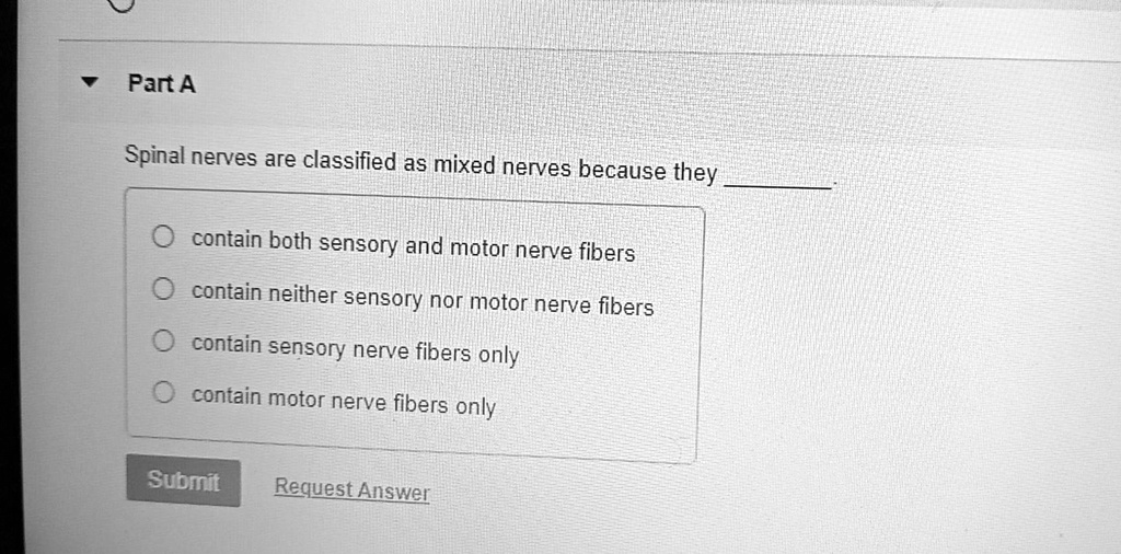 Spinal nerves are classified as mixed nerves because they .
contain both sensory and motor nerve fibers
contain neither sensory nor motor nerve fibers
contain sensory nerve fibers only
contain motor nerve fibers only