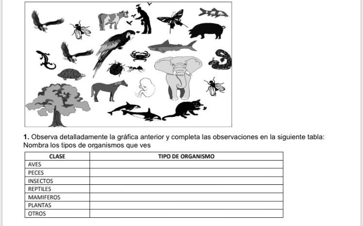 SOLVED: Nombra los tipos de organismos que ves porfa Observa ...