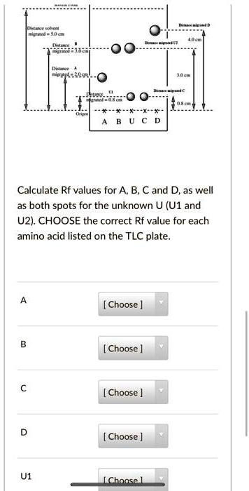 SOLVED: Calculate Rf values for A. B, C and D, as well as both spots ...