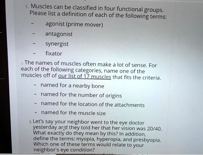 SOLVED Muscles can be classified into four functional groups