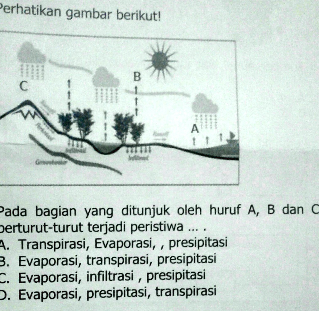 SOLVED: Perhatian Gambar Berikut! Pada Bagian Yang Ditunjuk Oleh Huruf ...