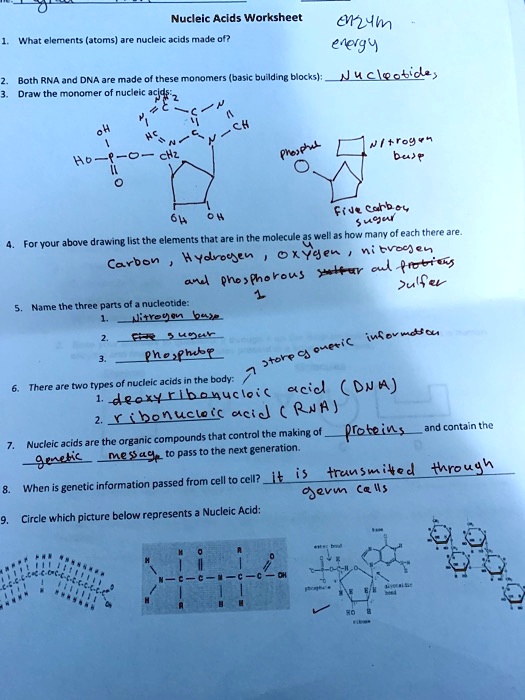 What Are The Building Blocks Of Nucleic Acids Answers Brennan has Vance