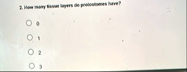 2 how many tissue layers do protostomes have 0 1 2 3 88999