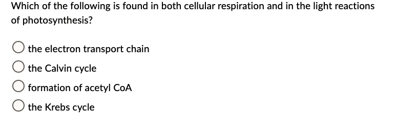 Which of the following is found in both cellular respiration and in the light reactions of photosynthesis?

the electron transport chain
the Calvin cycle
formation of acetyl CoA
the Krebs cycle