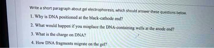 Write a short paragraph about gel electrophoresis, which should answer these questions below.
1. Why is DNA positioned at the black-cathode end?
2. What would happen if you misplace the DNA-containing wells at the anode end?
3. What is the charge on DNA?
4. How DNA fragments migrate on the gel?