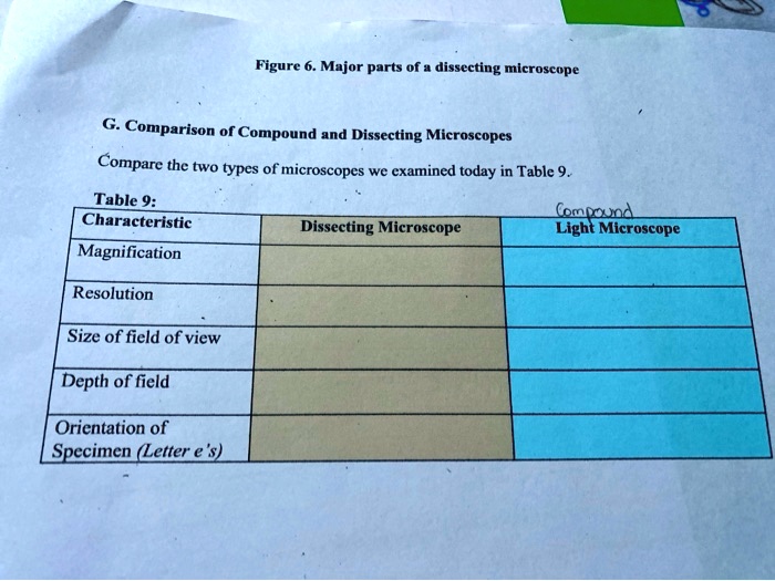 SOLVED Figure Major parts of a dissecting microscope Comparison of