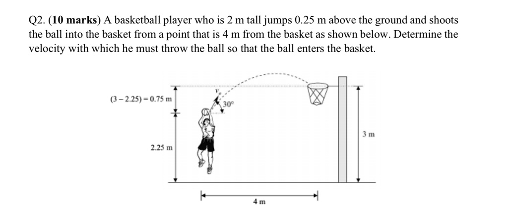 q2 10 marks a basketball player who is 2 m tall jumps 025 m above the ...