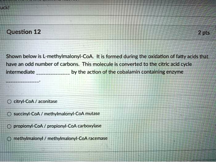 Shown below is L-methylmalonyl-CoA. It is formed during the oxidation of fatty acids that have an odd number of carbons. This molecule is converted to the citric acid cycle intermediate  by the action of the cobalamin containing enzyme .

citryl-CoA / aconitase
succinyl-CoA / methylmalonyl-CoA mutase
propionyl-CoA / propionyl-CoA carboxylase
methylmalonyl / methylmalonyl-CoA racemase