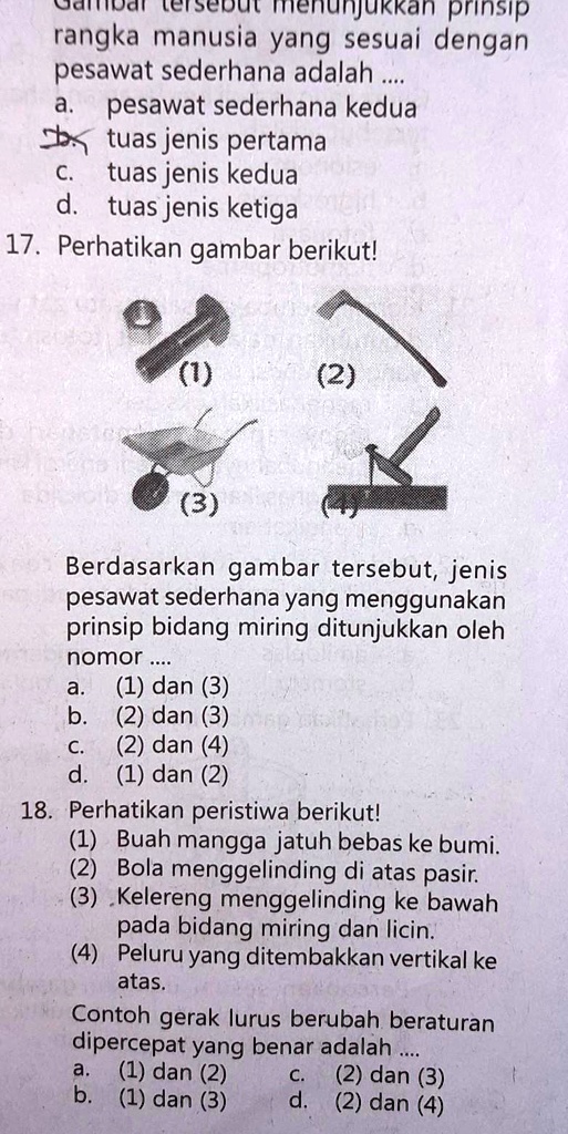 SOLVED: Perhatikan Gambar Berikut Berdasarkan Gambar Tersebut Jenis ...