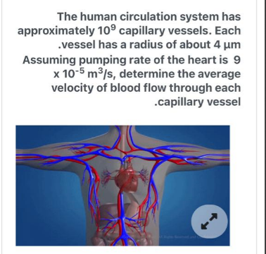 The human circulation system has approximately ( 10^9 ) capillary vessels. Each .vessel has a radius of about ( 4 mu mathrmm ) Assuming pumping rate of the heart is 9 ( 	imes 10^-5 mathrm m^3 / mathrms ), determine the average velocity of blood flow through each .capillary vessel