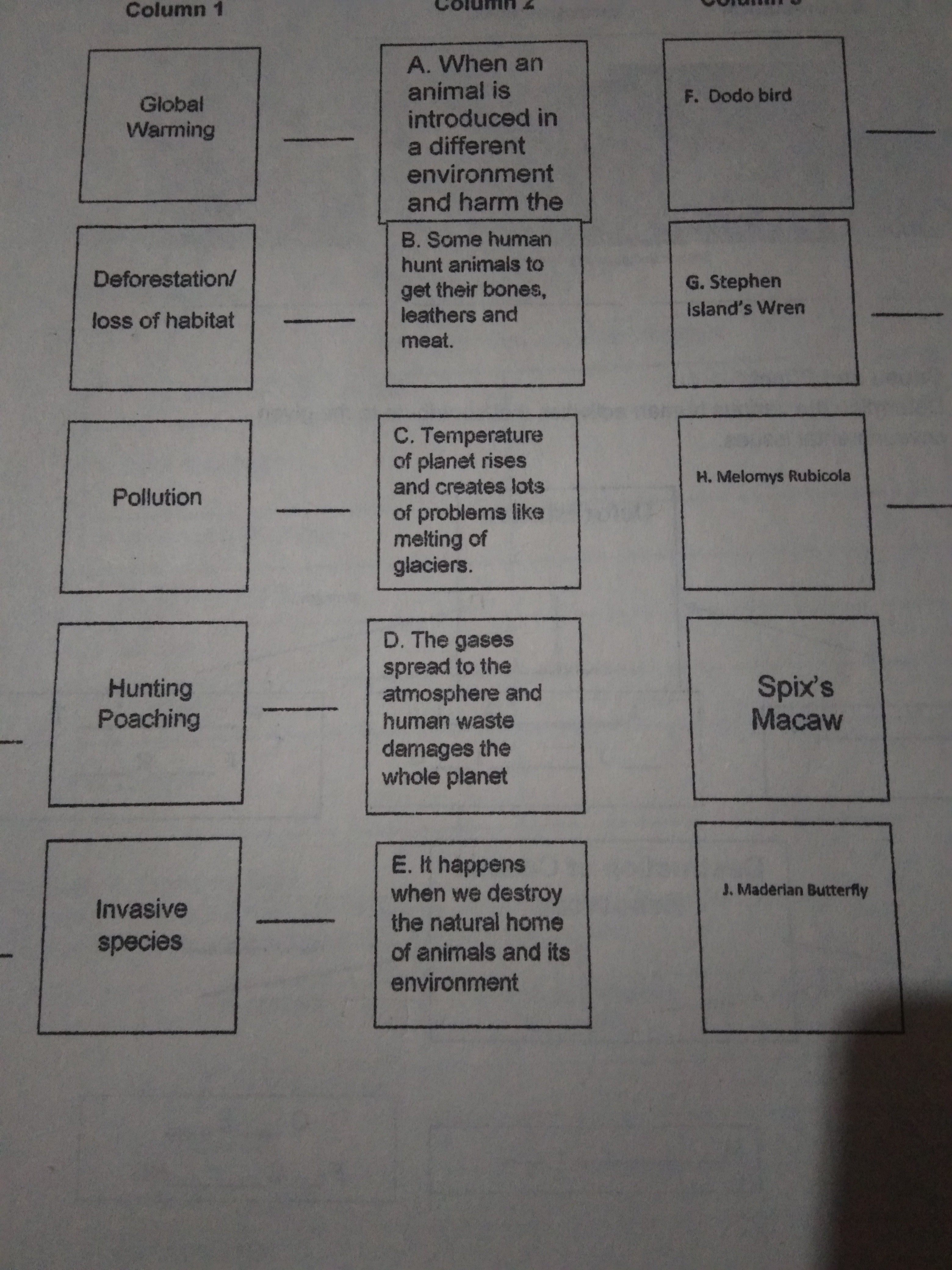 SOLVED: some human hunt animals to get their bones leathers and meat