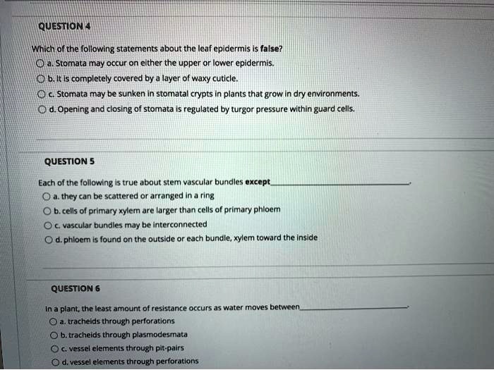 SOLVED: QUESTION 4 Which of the following statements about the leaf